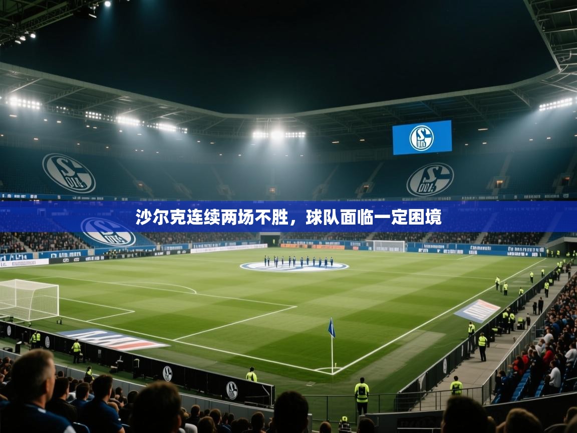 沙尔克连续两场不胜,球队面临一定困境 第1张